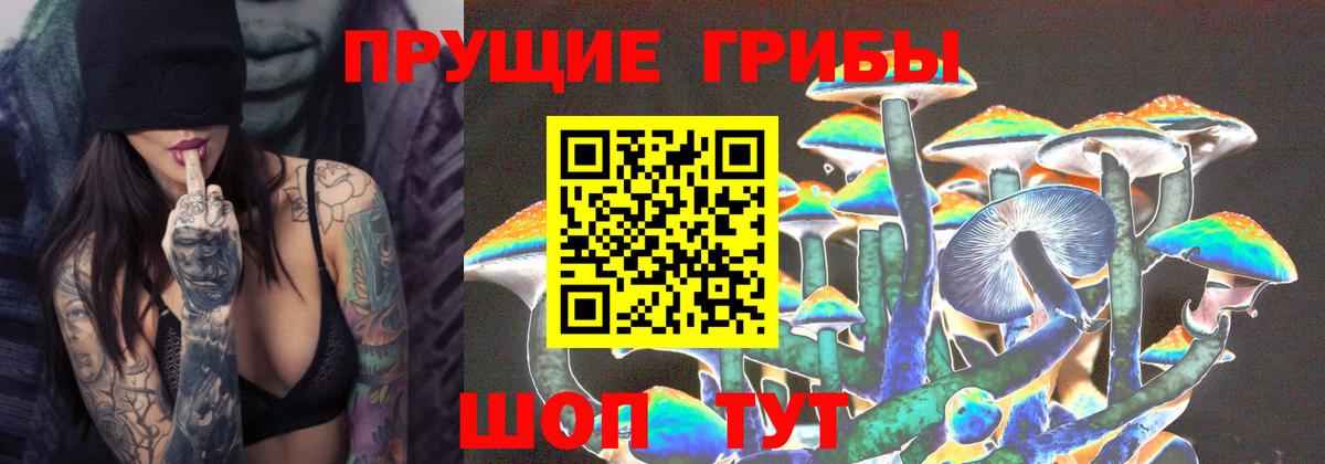 Галлюциногенные грибы ЛСД Бийск