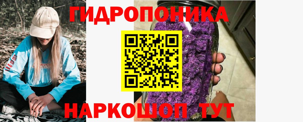 Бошки марихуана Bruce Banner  Бошки Шишки индика  Канабис план  Вход с VPN  Бийск 